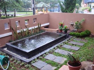 Membuat Kolam  Breeding Koi  di Belakang Rumah  Minimalis 