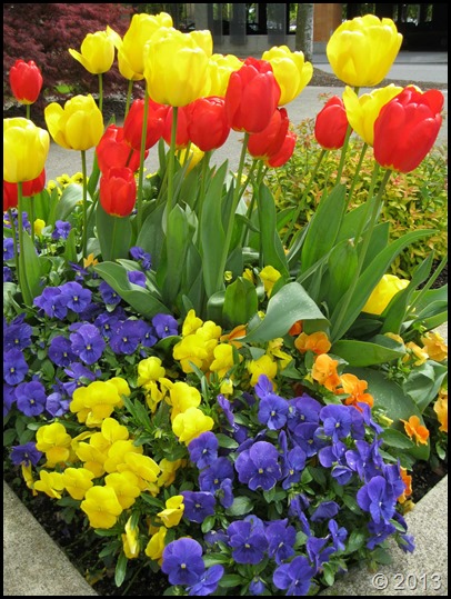 13-04-20-12-59-27H