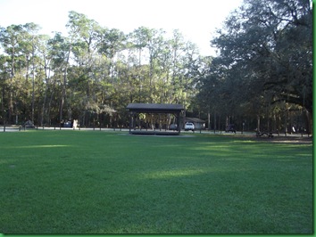 Highlands Hammock Day 3 026