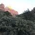 PixBlog 3 - Zion(Angels and subways) and Bryce(Earth's own fingers)
