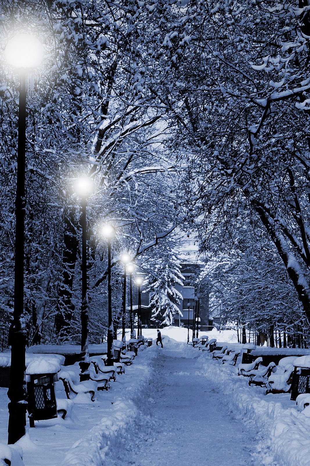 Winter in the park iphone wallpapers