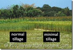 Zero tillage