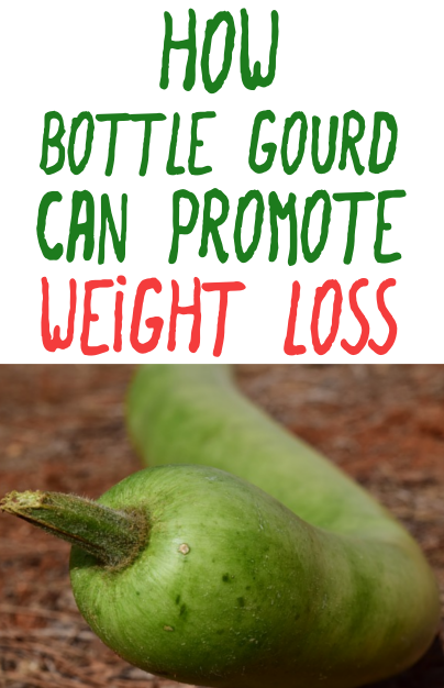 How bottle gourd can promote weight loss 