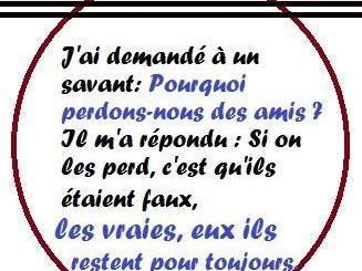 [Le plus populaire! ] citation fausse victime 331021-Citation  fausse victime
