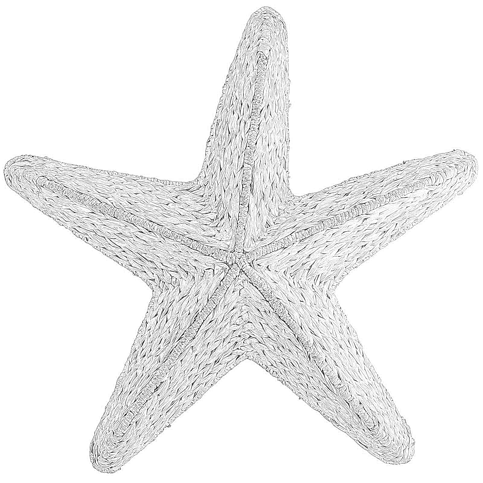 Coloring Pages: Starfish Sea Stars Coloring Pages