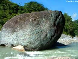 amazing images------ fish or rock?