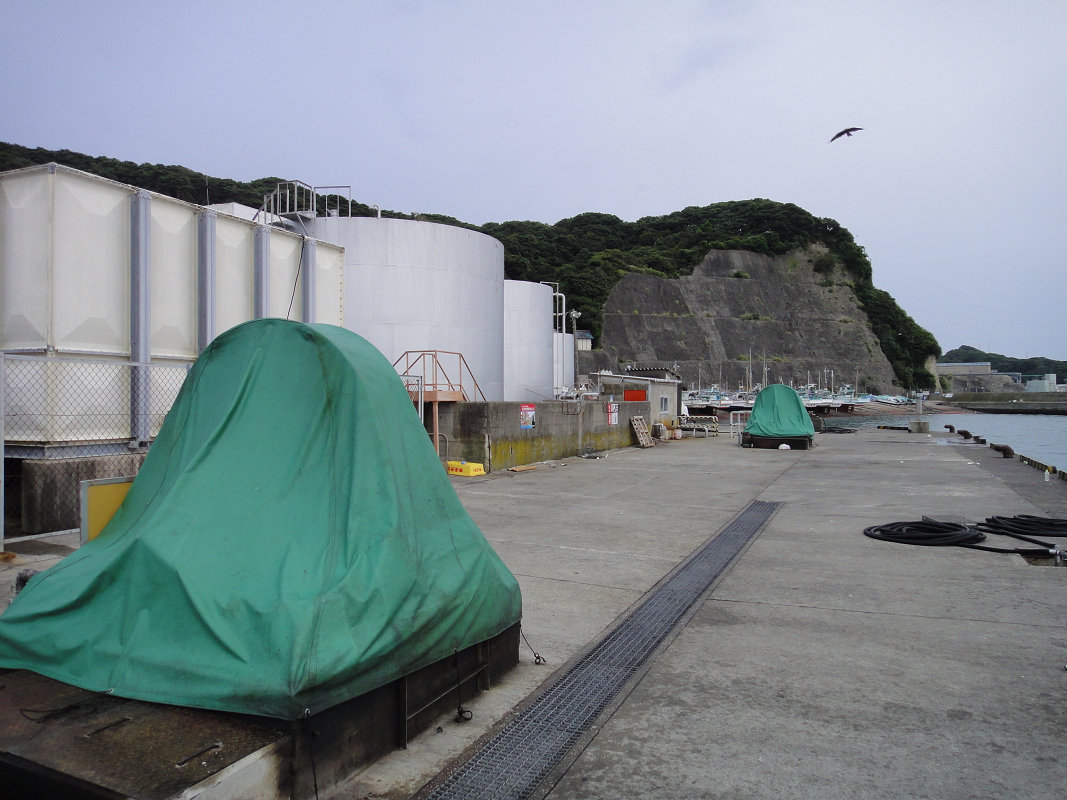 勝浦漁港でアジ釣り 食雑写記