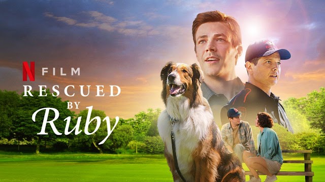 Rescued By Ruby 2022 Dual Audio Hindi 720p 480p WEB-DL [800MB 280MB]