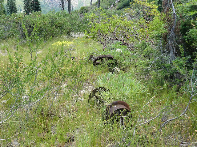 Salmon Summit Mine artifacts