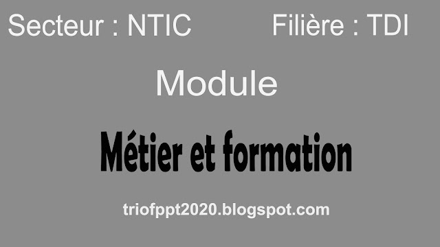 Métier et formation dans les NTIC - TDI 