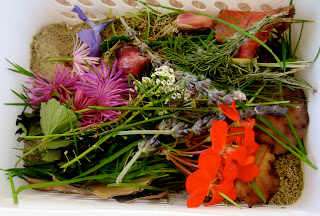 spring sensory activity using senses to smell flowers