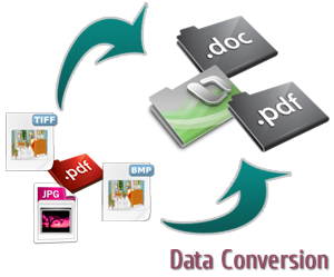 Data Conversion Services
