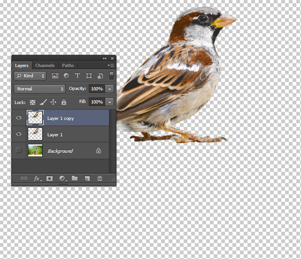 Duplicate layer for the reflection.