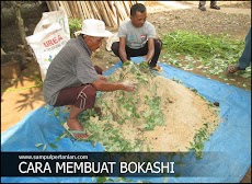 Cara mudah membuat Bokashi