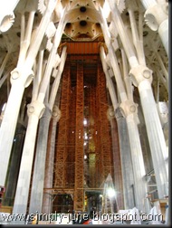 IMG_0351 (Large)