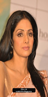 Sridevi in English Vinglish