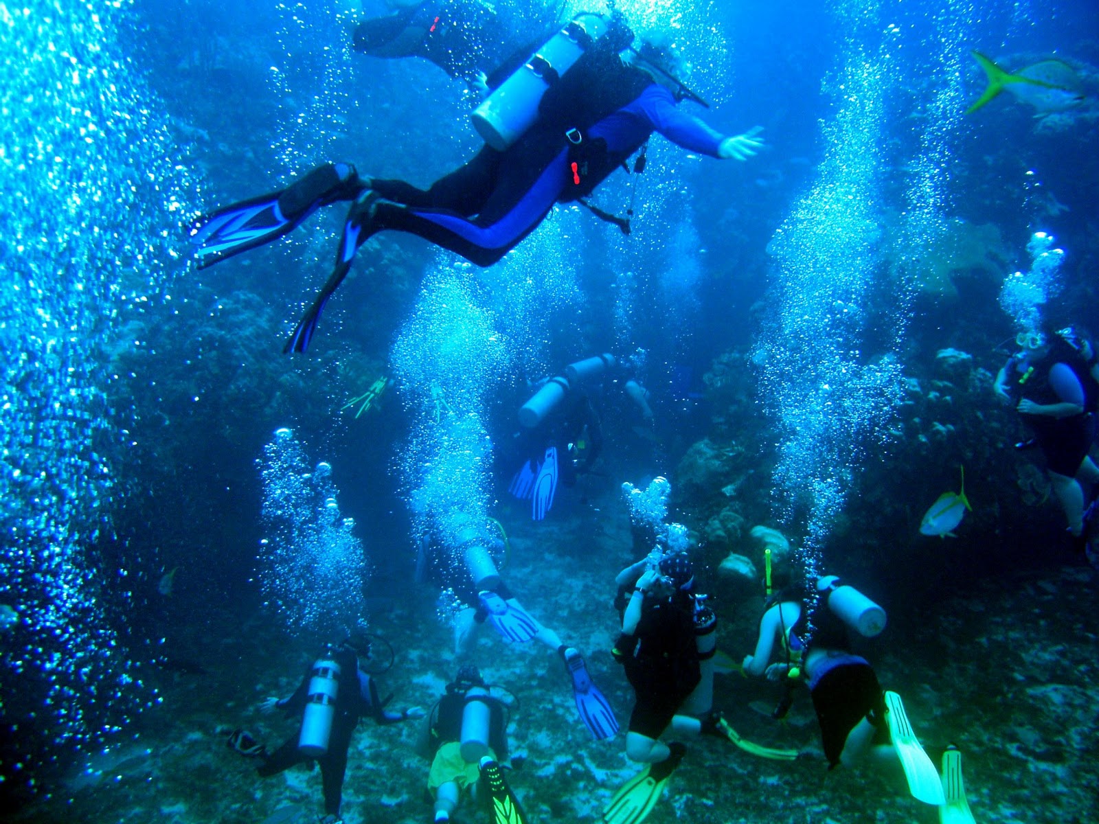 Belize Scuba Diving Photographs, Ambergris Caye