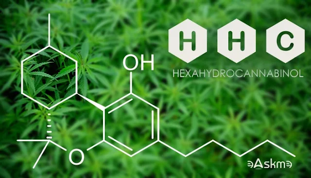 What To Look For When Buying HHC Distillate?: eAskme