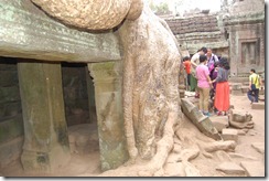 Ta Prohm