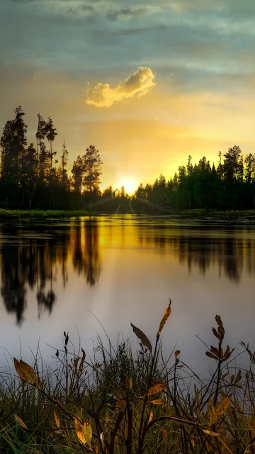 Evening, Lake, Trees, Sunset, Dusk, Landscape