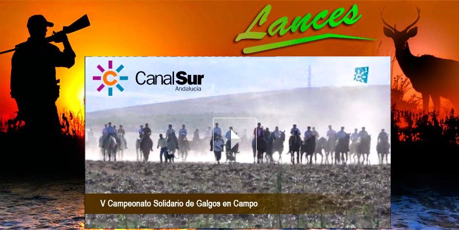 http://alacarta.canalsur.es/television/programa/lances/34