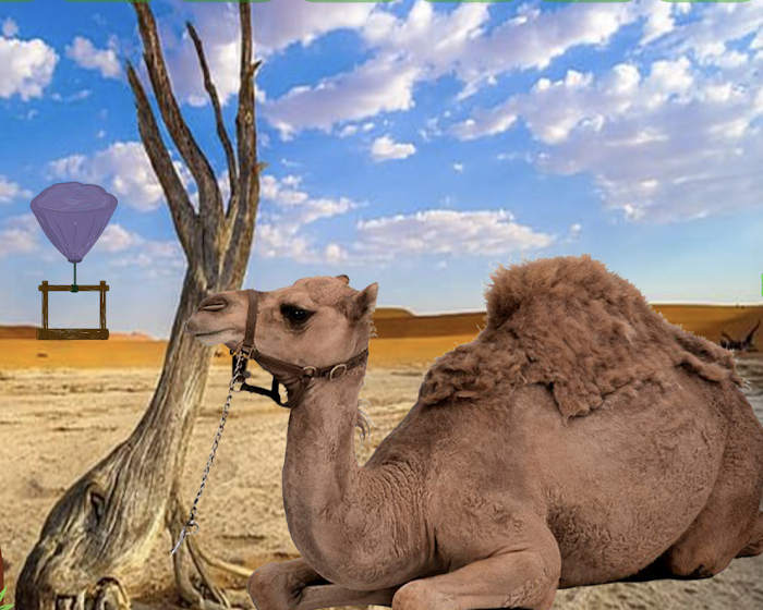 Jugar Help The Old Camel