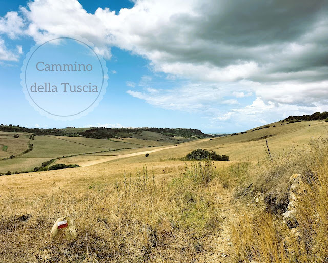 Guida tutte informazioni Cammino della Tuscia