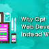 Why Opt Web Developer Instead Website Builder?