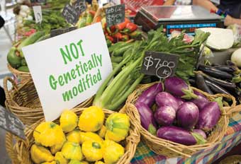 Genetically-Modified-Foods-GMO