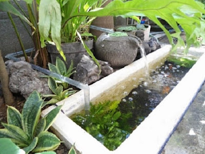 Front Garden house with Fish Pond