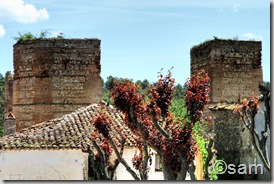 Buitrago04