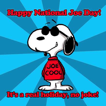 National Joe Day Wishes for Instagram