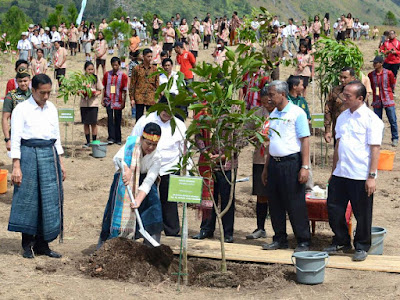 Ibu Negara Menanam pohon di Kebun Raya Samosir diperhatikan Pak Presiden Joko widodo