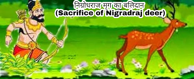 निग्रोधराज मृग के बलिदान की कथा (The Story of NigrodhaRaj Deer)