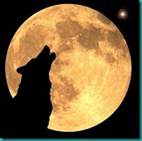 lobos imagenesifotos (5)