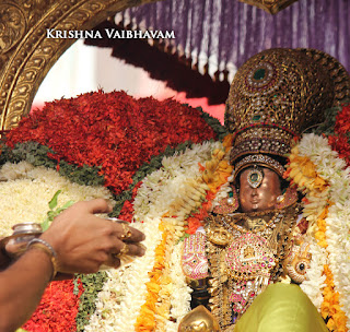 Aani,Garuda Sevai,Gopura Dharisanam ,Yesal Purappadu , Vahanam,Sri Theliya Singar, Yoga Narasimhar,Brahmotsavam ,Purappadu,Video, Divya Prabhandam,Sri Parthasarathy Perumal, Triplicane,Thiruvallikeni,Utsavam,