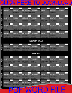 Insanity Workout 