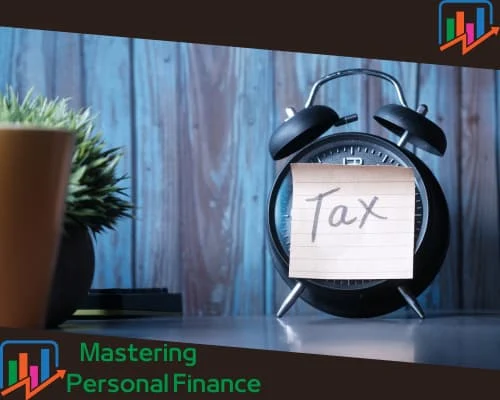 tax preparer or a tax consultant