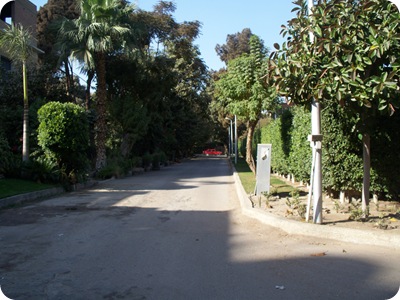 01-04-2010 004
