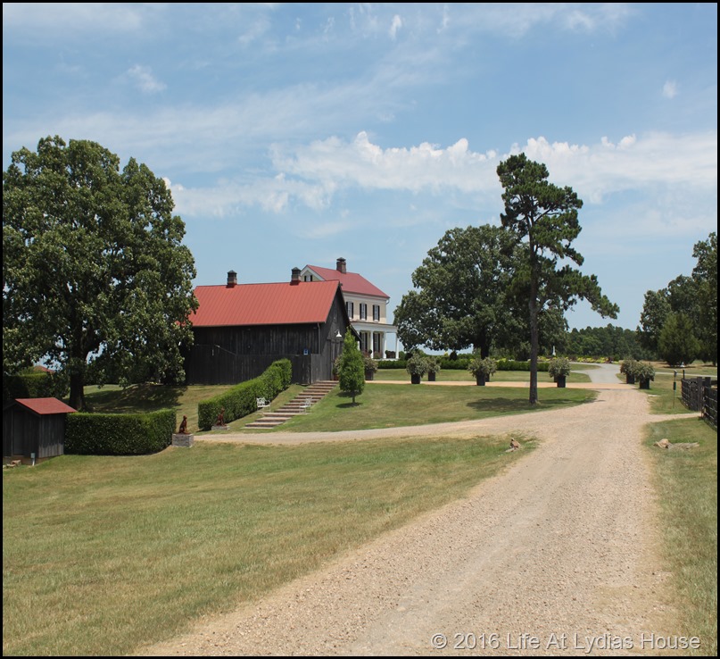 view from the vegetable garden toward the house