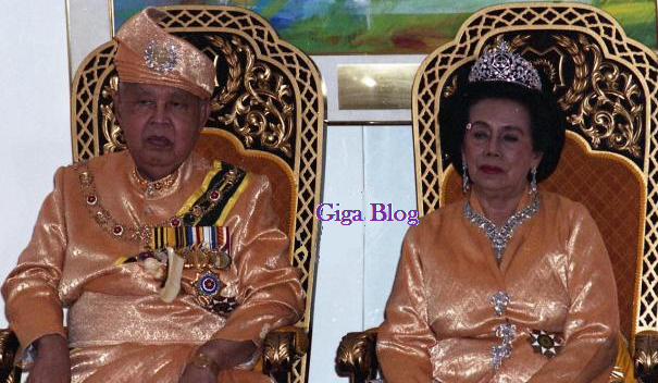 About : Almarhum Tuanku Syed Putra Jamalullail