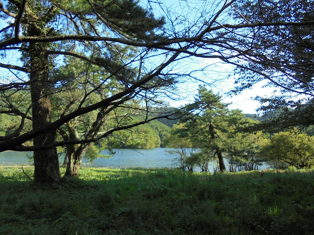赤松池