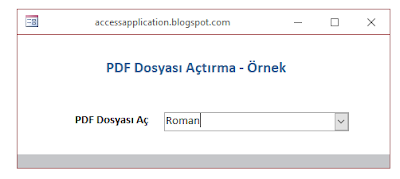 access pdf