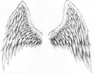Desenho de asas