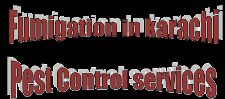 secure pest control | fumigation in karachi | termite fumigation in karachi 