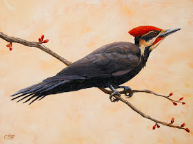 pinturas-de-aves