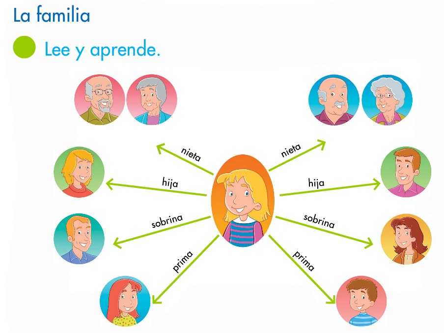 http://www.primerodecarlos.com/SEGUNDO_PRIMARIA/abril/tema2-3/actividades/cono/aprende_la_familia/visor.swf