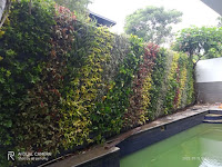 Tukang Taman Vertical Garden Bandung Murah