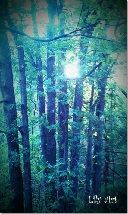 lily art - trees and sun