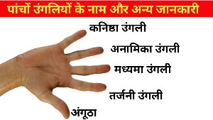 names of fingers in hindi & english | पांचों उंगलियों के नाम हिंदी और अंग्रेजी में
